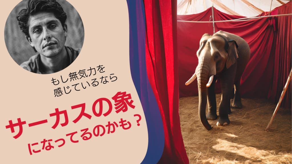 妻に対して無気力感を感じたら、もしかしたら「サーカスの象」なのかも?